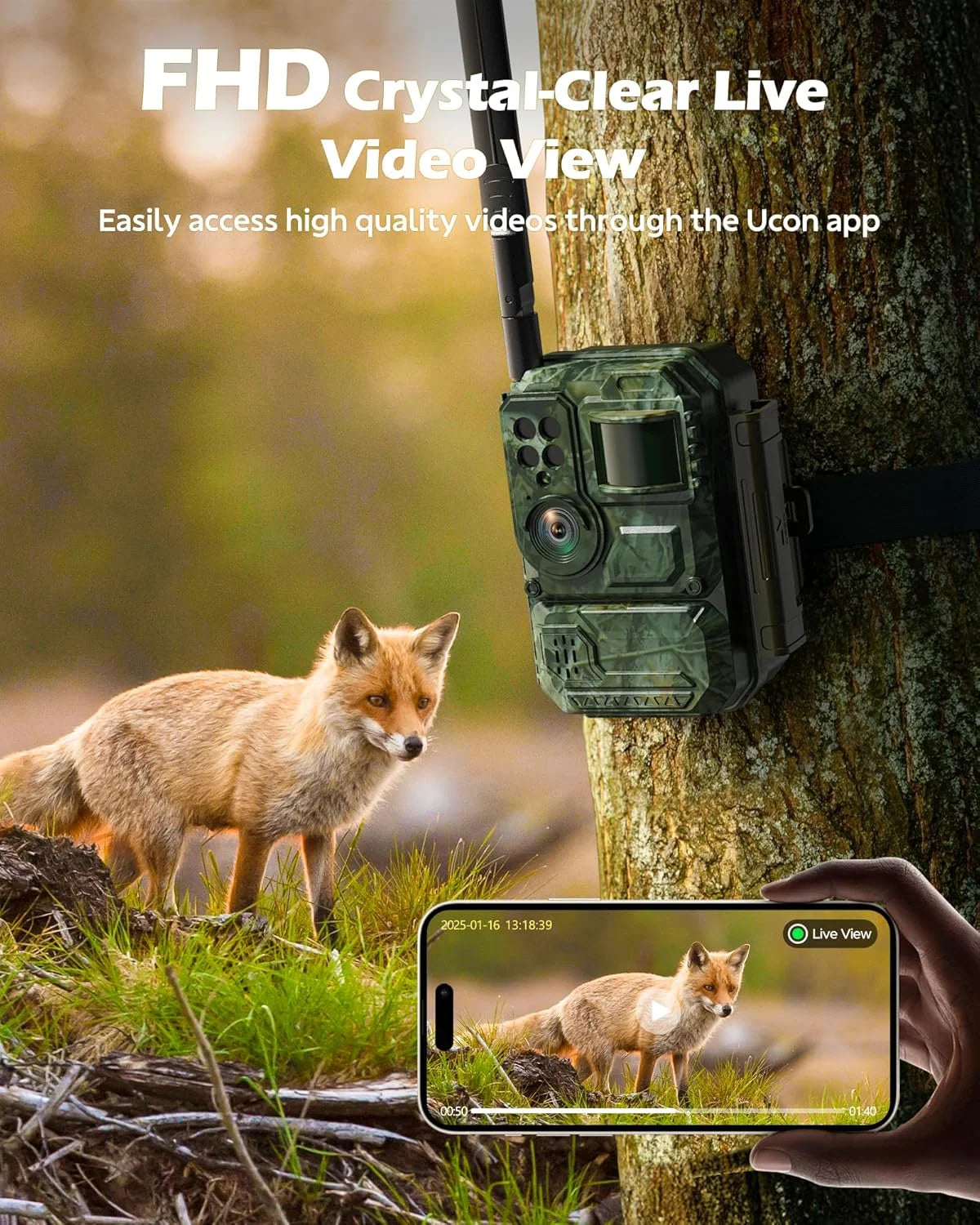 Cellular Solar Trail Camera with Live Streaming - 4G LTE Unlimited Data Game Camera with Night Vision, 0.1S Trigger Motion Activated, Real-Time Alerts for Wildlife Monitoring