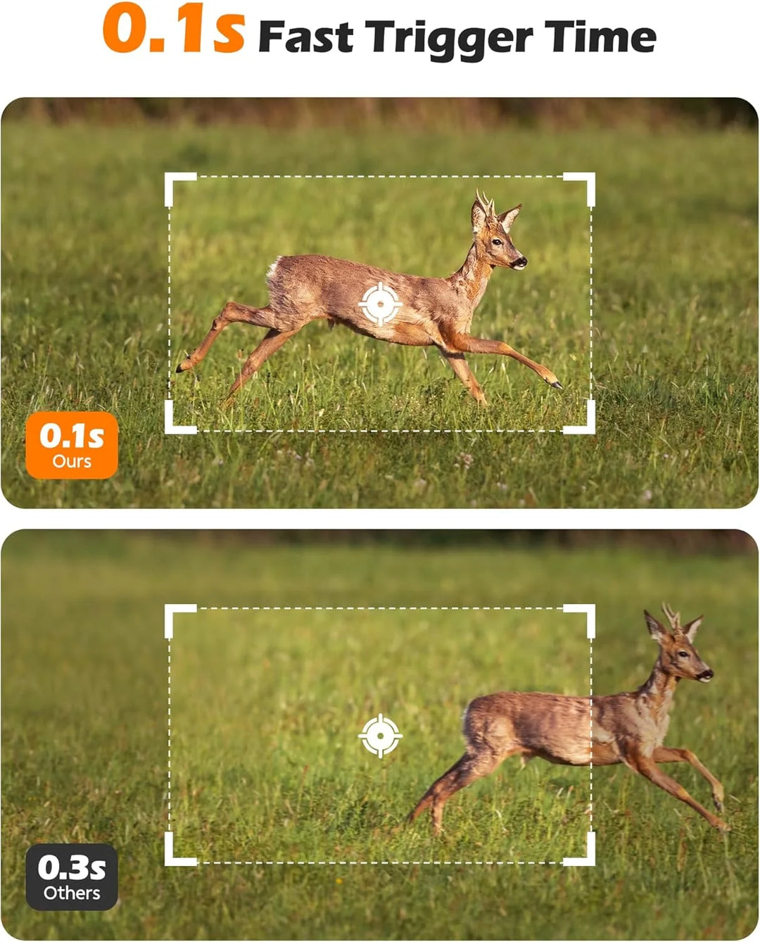 Cellular Solar Trail Camera with Live Streaming - 4G LTE Unlimited Data Game Camera with Night Vision, 0.1S Trigger Motion Activated, Real-Time Alerts for Wildlife Monitoring