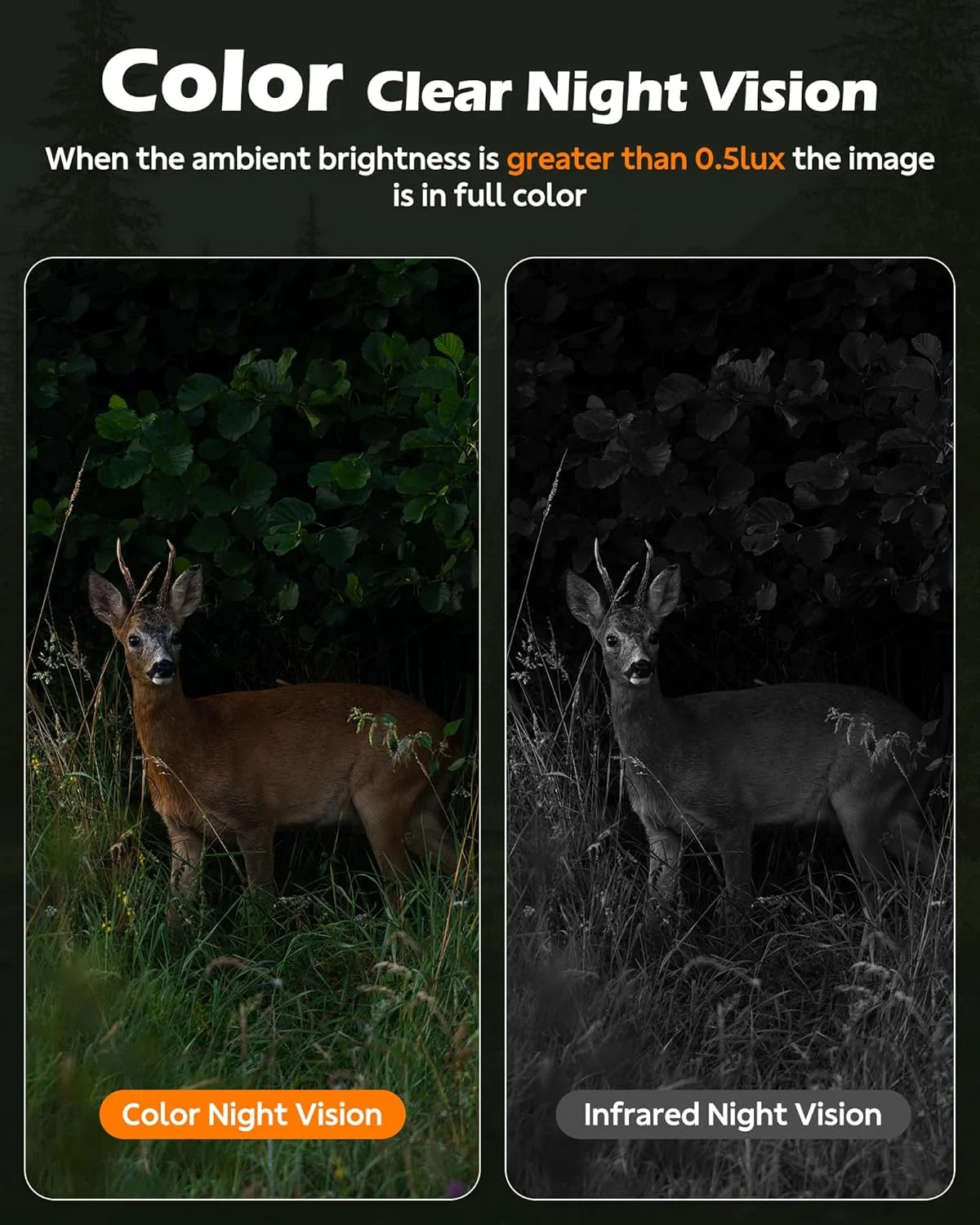 Cellular Solar Trail Camera with Live Streaming - 4G LTE Unlimited Data Game Camera with Night Vision, 0.1S Trigger Motion Activated, Real-Time Alerts for Wildlife Monitoring