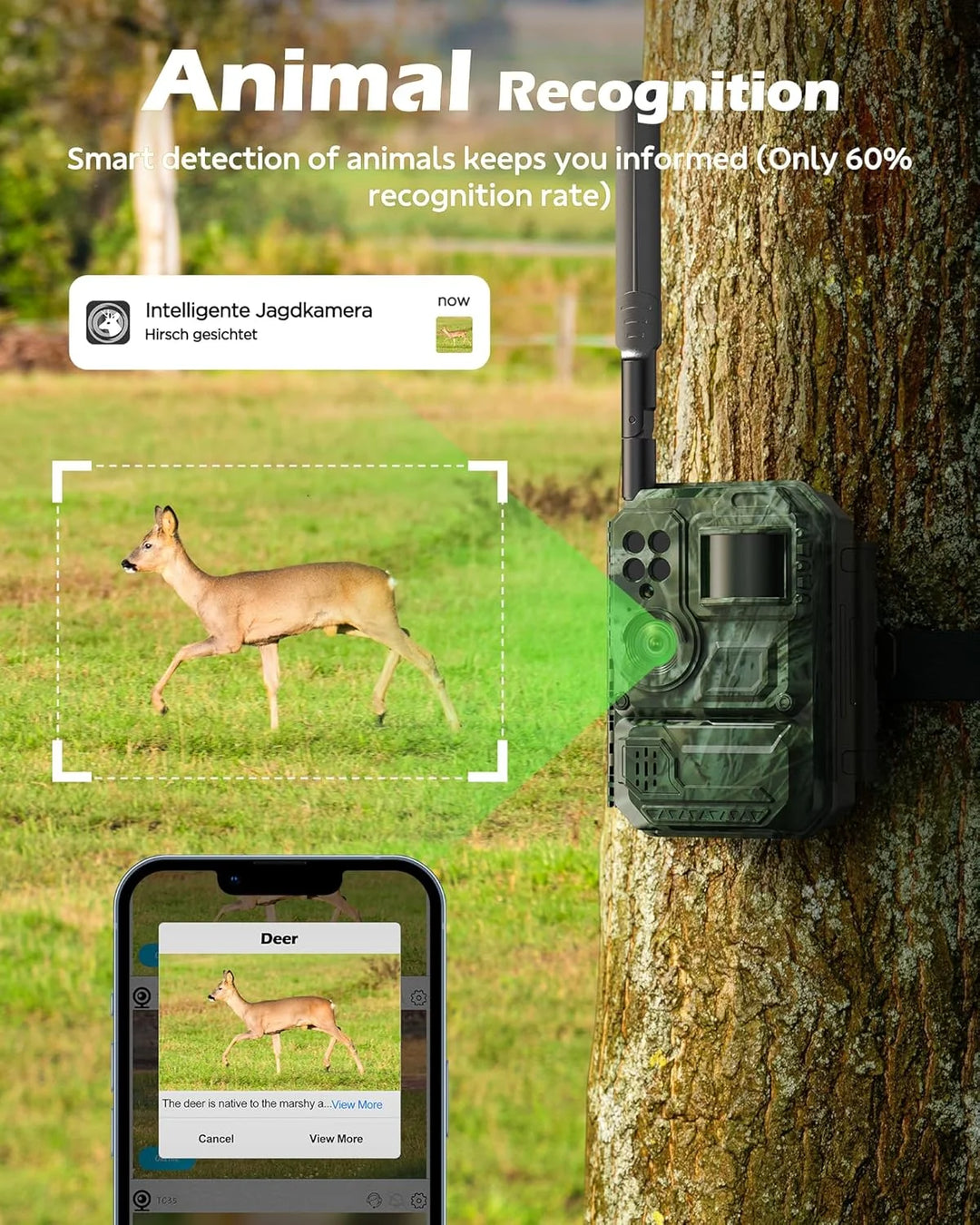 Cellular Solar Trail Camera with Live Streaming - 4G LTE Unlimited Data Game Camera with Night Vision, 0.1S Trigger Motion Activated, Real-Time Alerts for Wildlife Monitoring
